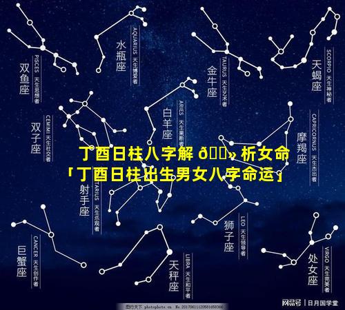 丁酉日柱八字解 🌻 析女命「丁酉日柱出生男女八字命运」